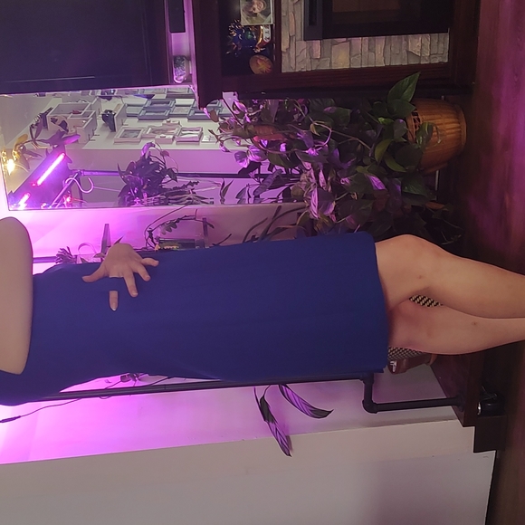 Blue Office Dress - Picture 3 of 4